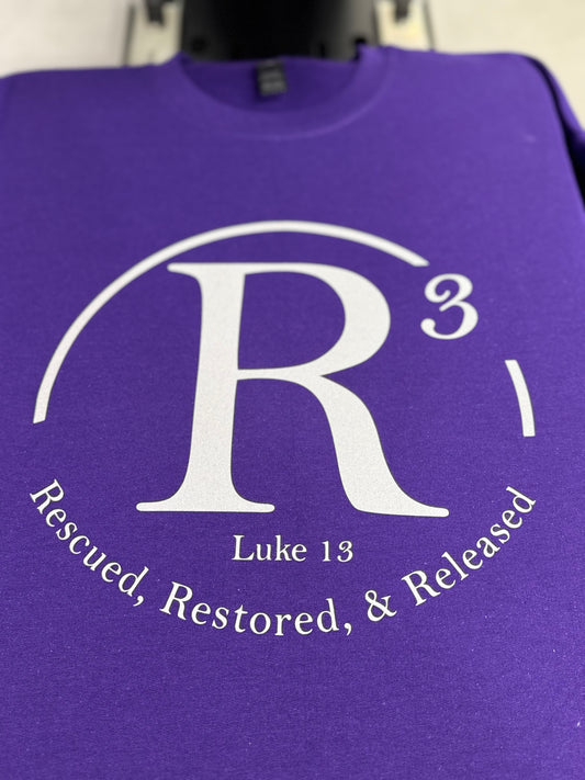 R3 sweatshirt (unisex)